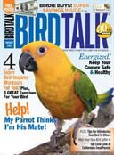 Bird Talk